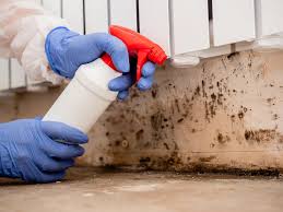 Why You Should Choose Our Mold Remediation Services in Grandview, OH